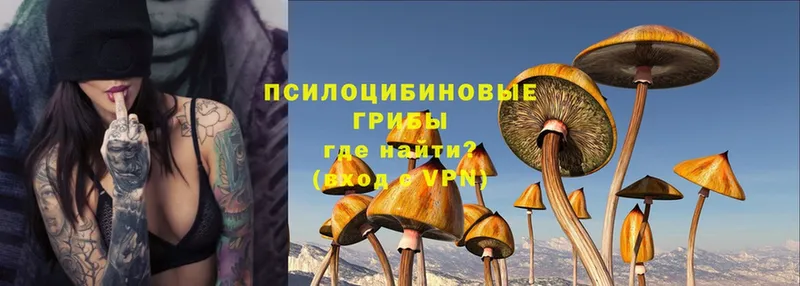 omg   дарнет шоп  Аркадак  Галлюциногенные грибы Magic Shrooms 